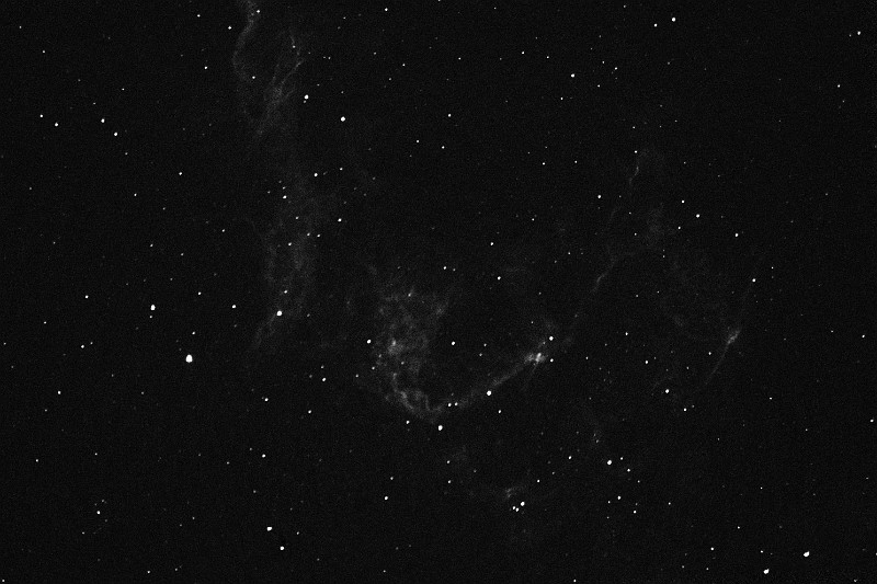 NGC6995_Ha_20070714.png - NGC 6995 (Ha  5min - binning 1x1)- LX200GPS f/6.3 - ST-8XME (0C) - Renens 14/07/2007