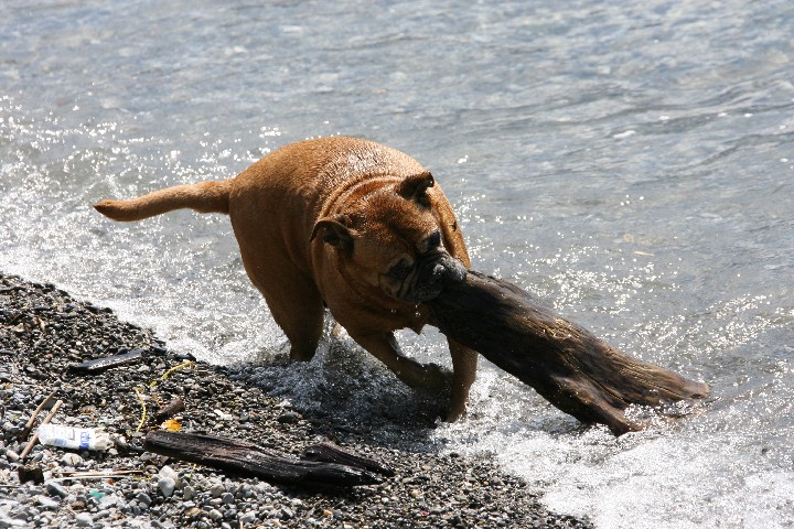IMG_4537.JPG