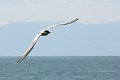 IMG_3768_r1