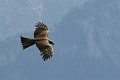 IMG_4652_r1