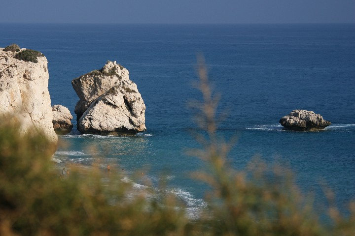IMG_5259_r1.jpg