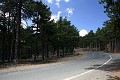 IMG_5355_r1