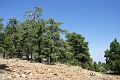 IMG_5362_r1