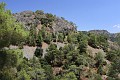 IMG_5386_r1