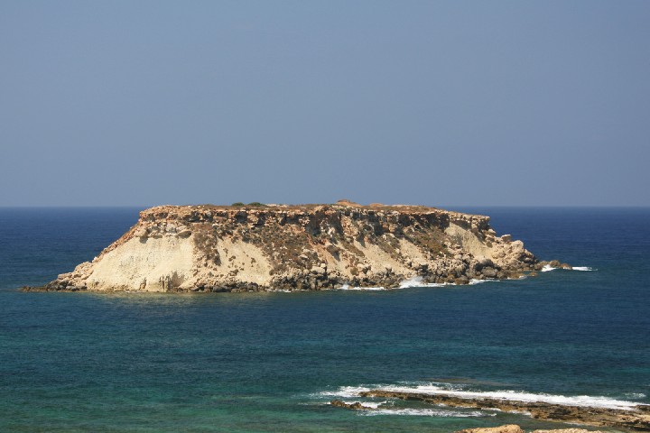 IMG_5460_r1.jpg