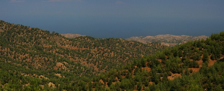 pano_2_r1.jpg