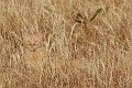 IMG_9895_r1