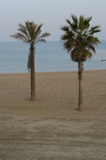 IMG_9309.JPG