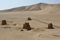 IMG_2048_r1