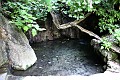 IMG_6537_r1